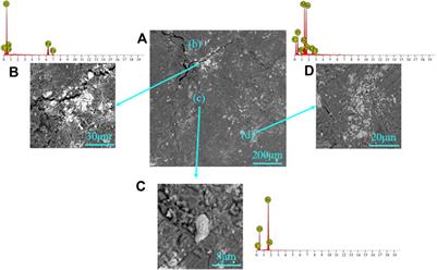 The Influence of CO2 Saturated Brine on Microstructure of Coal: Implications for Carbon Geo-Sequestration